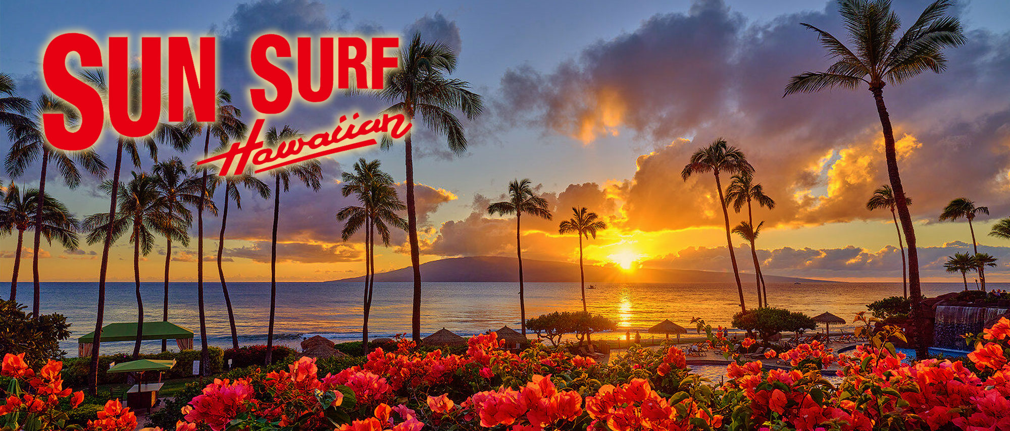 SUN SURF 2025SS NEW MODEL
